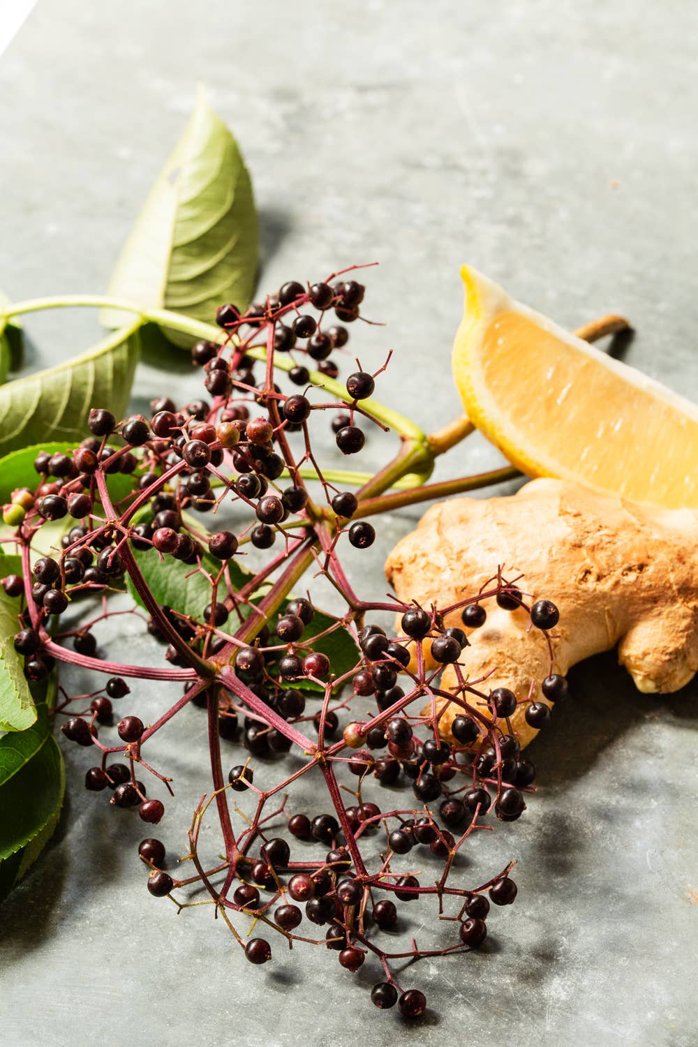 ImmuneSchein Ginger Elixirs - Wholesale Elixir - 2 fl. oz. Elderberry Ginger Elixir4