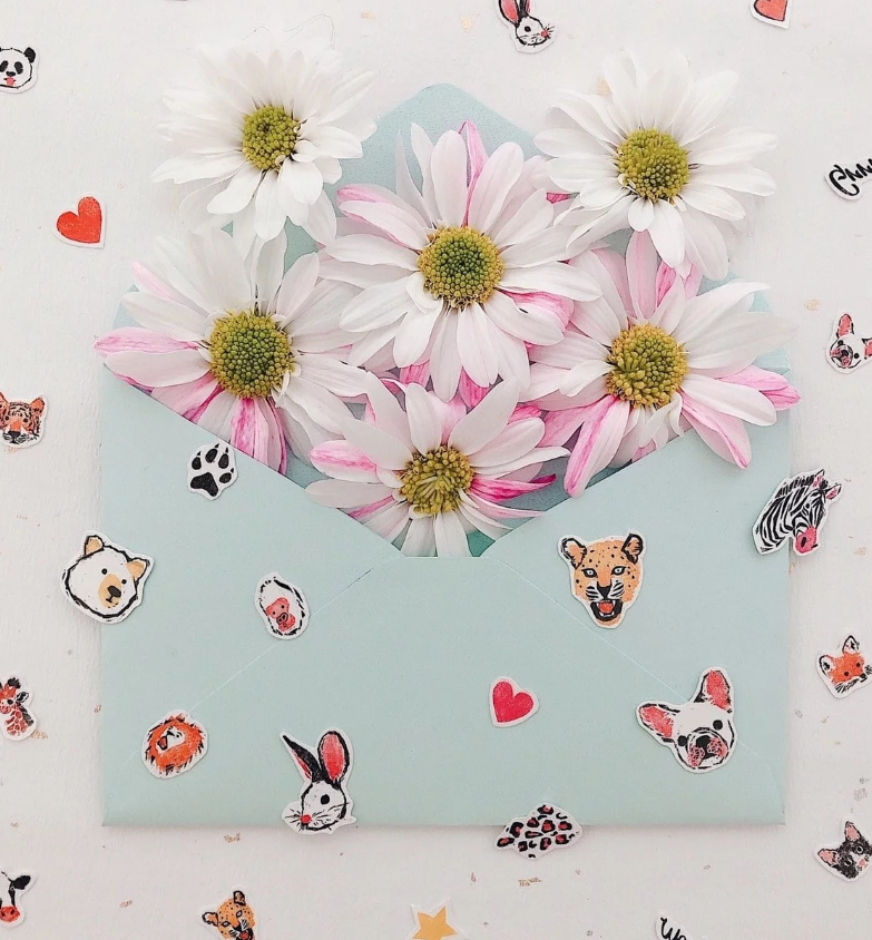 PAPERSELF – Engroshandel Midlertidig tatovering – Zoo Midlertidige Tatoveringer Klistermærker13