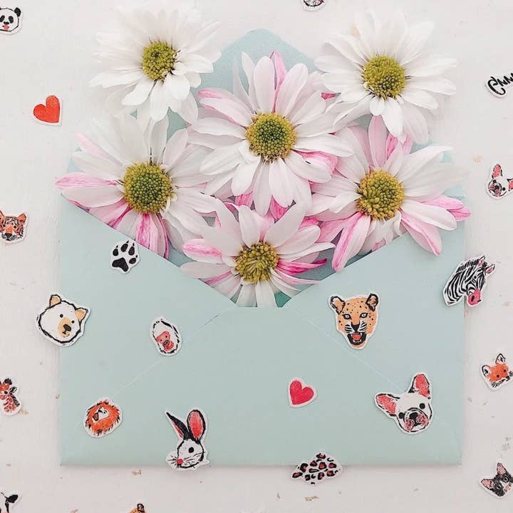 PAPERSELF – Engroshandel Midlertidig tatovering – Zoo Midlertidige Tatoveringer Klistermærker13