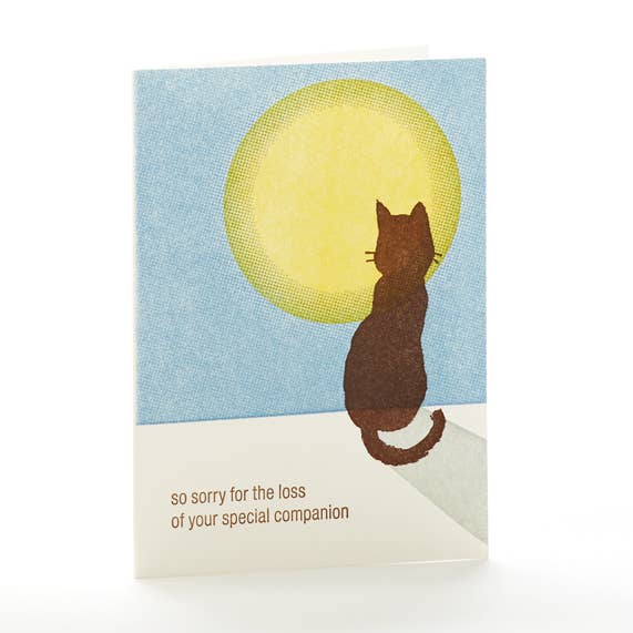 Cat Sympathy Notecard for wholesale by Ilee Papergoods