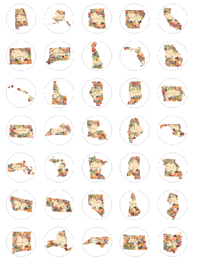 Say It in A Snap Jewelry - Wholesale Lapel Pin/Button - State Snaps - Floral - Available for All 50 States1