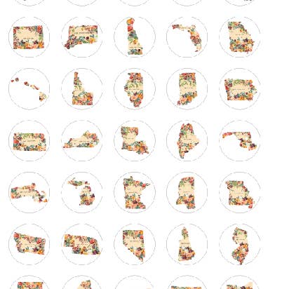 Say It in A Snap Jewelry - Wholesale Lapel pin/button - State Snaps - Floral - Available for All 50 States1