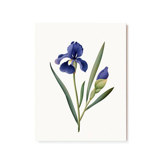 Clap Clap - Vente Carte de vœux classique - Carte parfumée botanique - Iris2