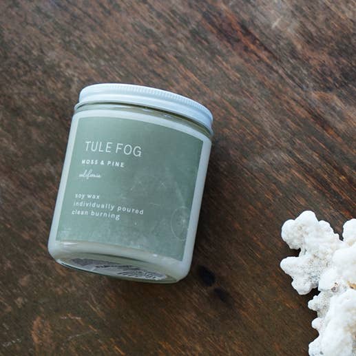 Tule Fog Candles - Wholesale Jar/Filled Candle - Moss + Pine Soy Candle Mini 3.5oz1