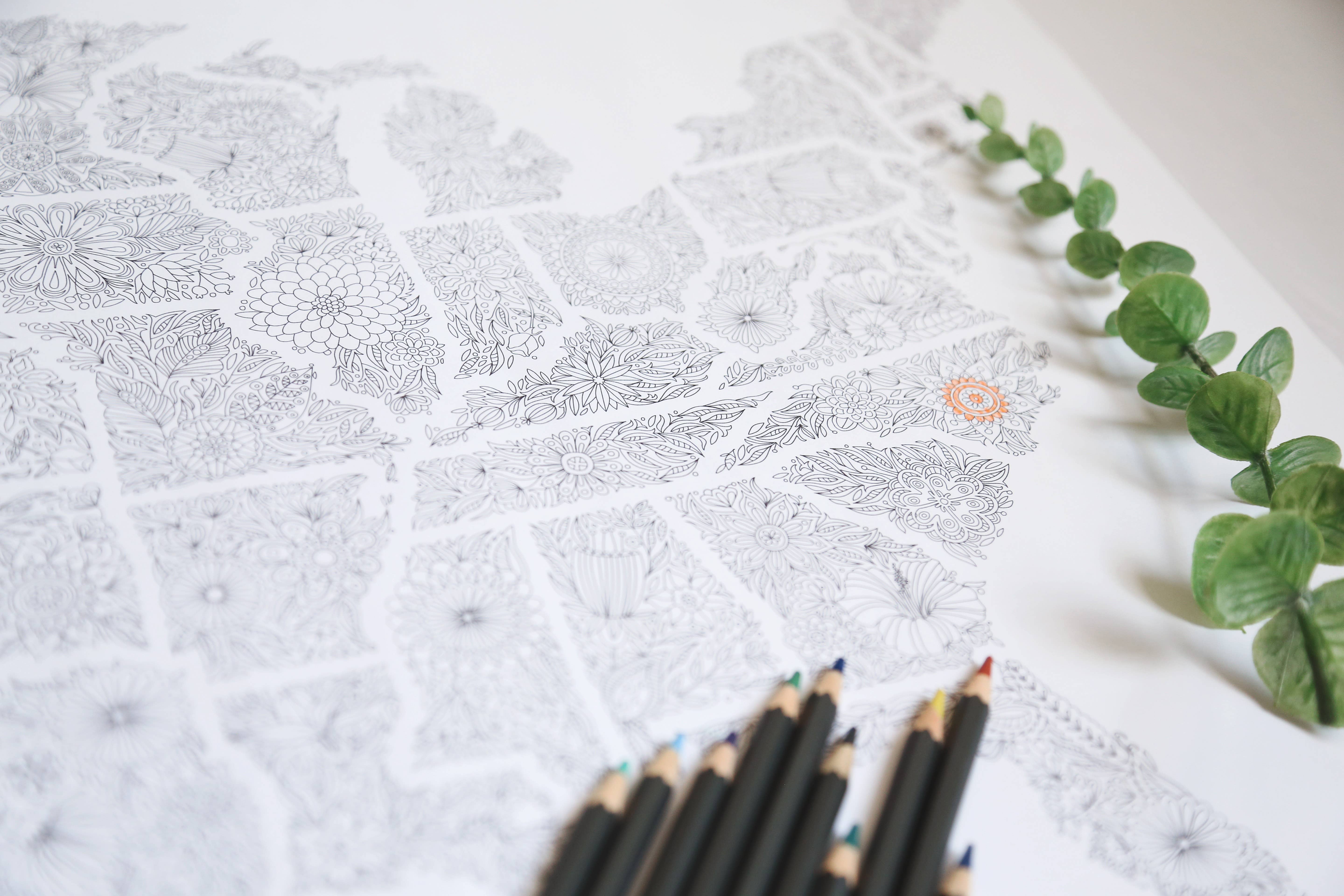 Anna Grunduls Design - Venta al por mayor Libro para colorear - Adultos - Flores Estados Unidos Mapa para colorear15