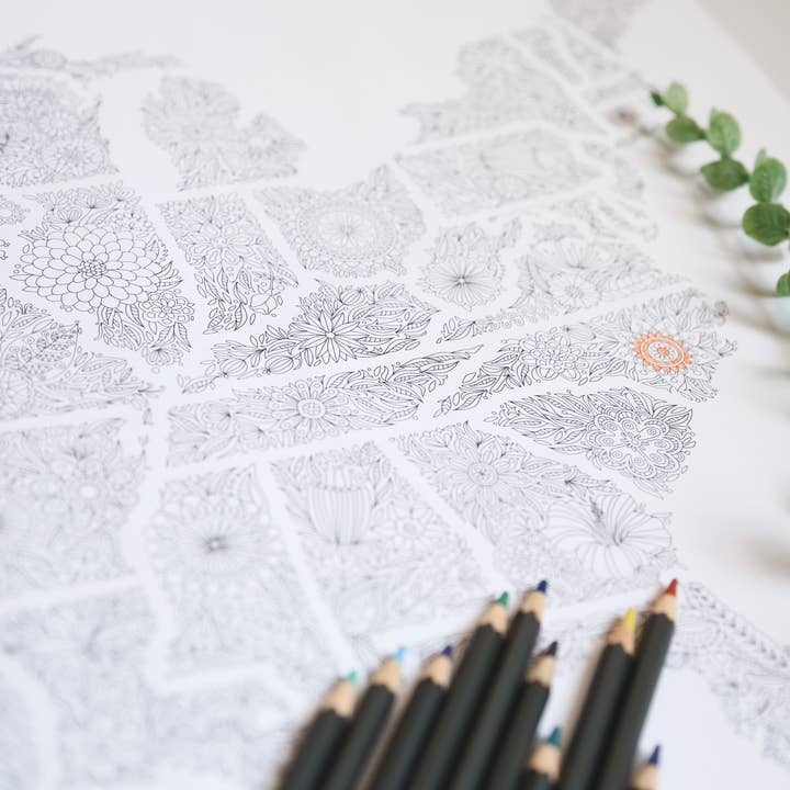 Anna Grunduls Design - Wholesale Coloring & Activity Book - Adult - Flowers United States Coloring Map15