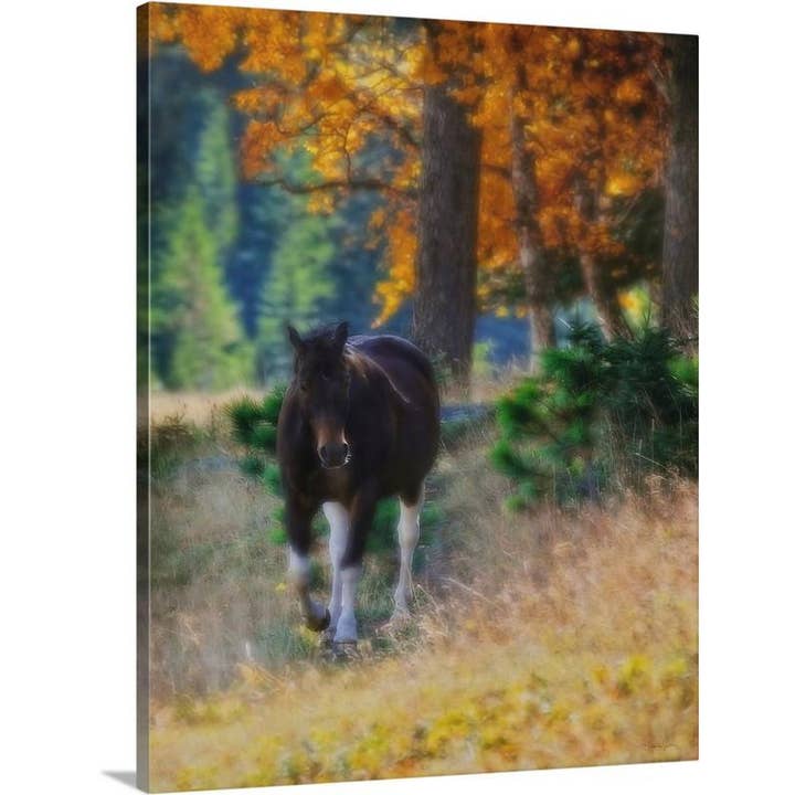 September Surrender Canvas Print for wholesale by Amanda Smith Western Art, LLC