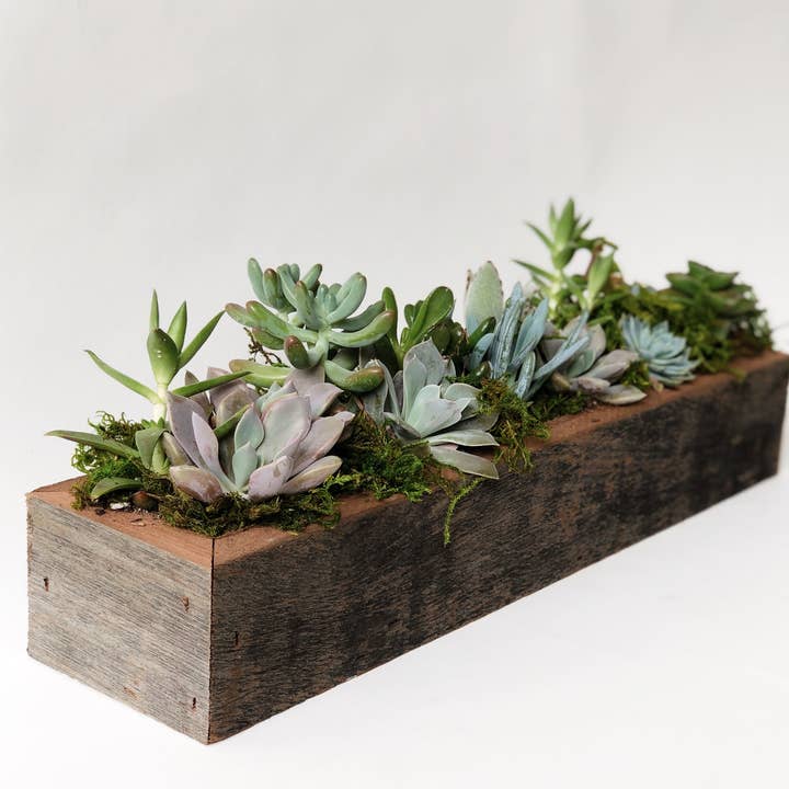 Alibi Interiors - Vendita all'ingrosso Fioriere - Fioriera in legno recuperato 2x14 Sevensie0