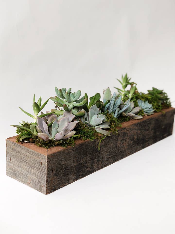 Gerecycled Houten Plantenbak 2x14 Sevensie voor wholesale door Alibi Interiors