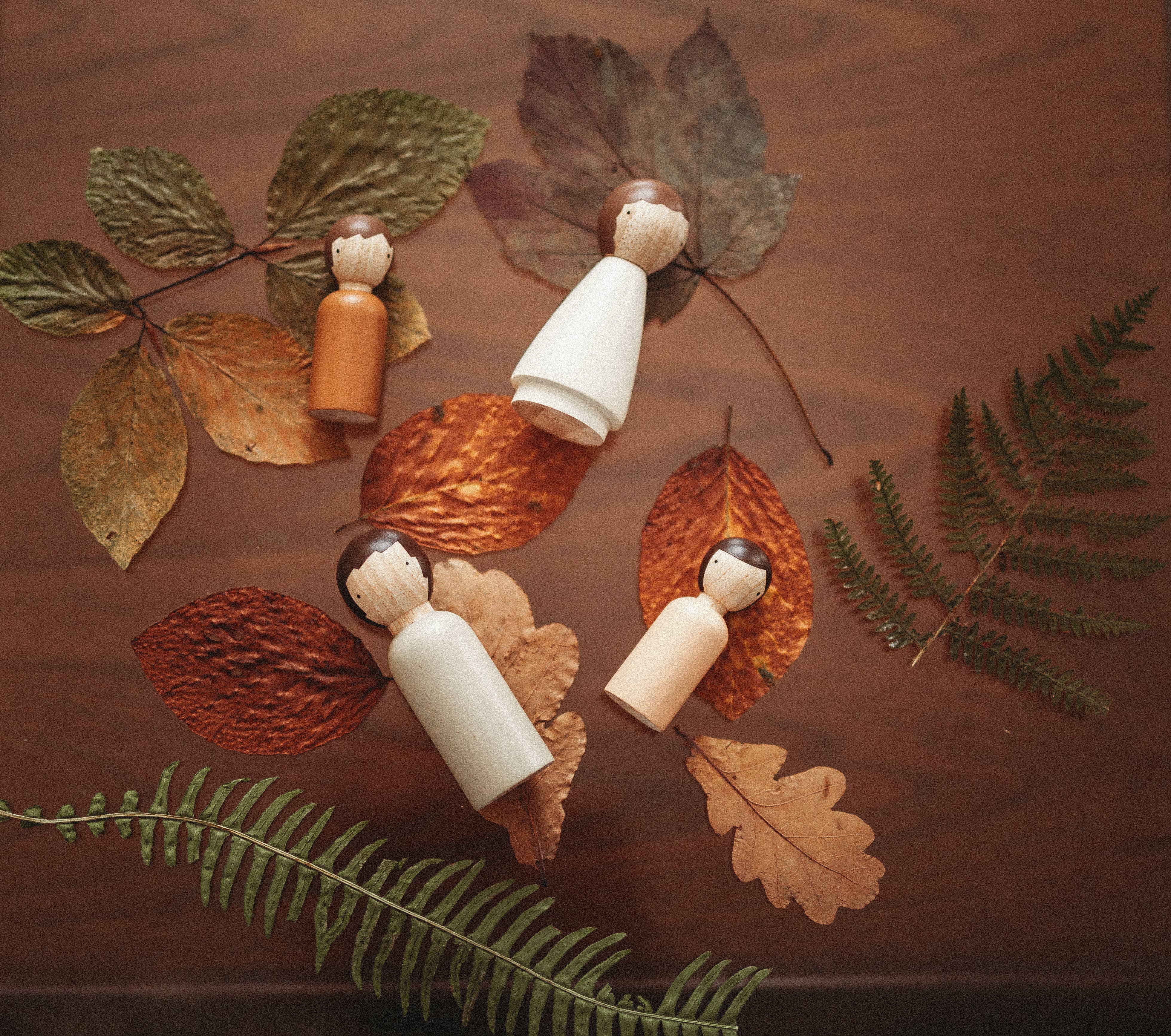 Goose Grease - Wholesale Wood Toy - Kids - The Organic Family4