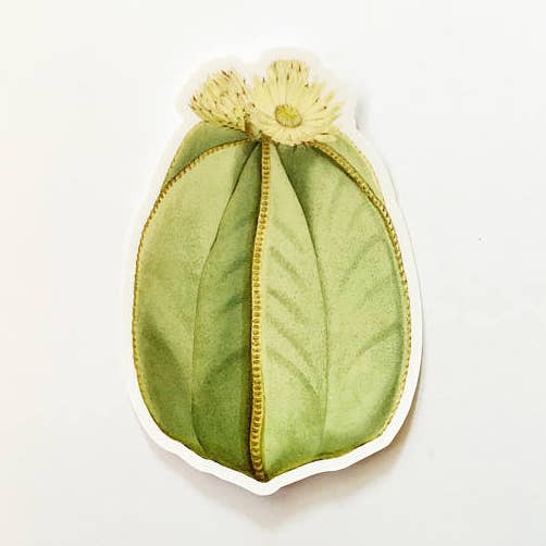 Pergamo Paper Goods - Wholesale Sticker - Yellow Flower Vintage Cactus Vinyl Sticker0