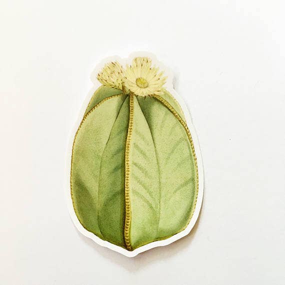 Pergamo Paper Goods - Wholesale Sticker - Yellow Flower Vintage Cactus Vinyl Sticker0