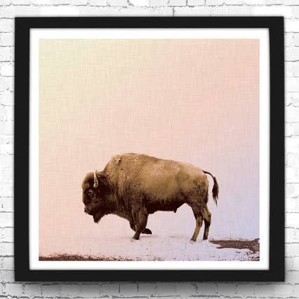 Impression d'art de buffle 8 po x 8 po pour la vente par The National Anthem