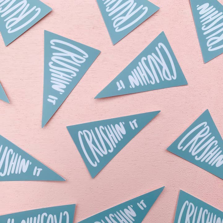 Crushin' It Vinyl-Aufkleber mit der Aufschrift „Last Chance Stocking Stuffer“ als Weihnachtsgeschenk für den Großhandel von Your Gal Kiwi