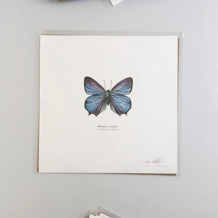 Together Apart - Vente Affiche d'art - Papillon Morpho bleu géant