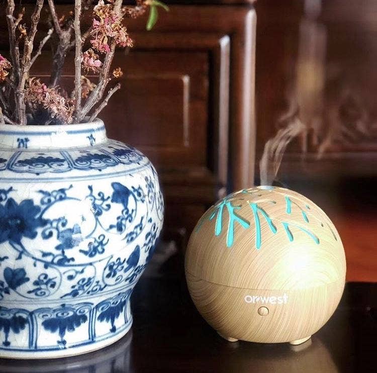 Oriwest - Wholesale Electronic Diffuser - Willow USB Aroma Diffuser1