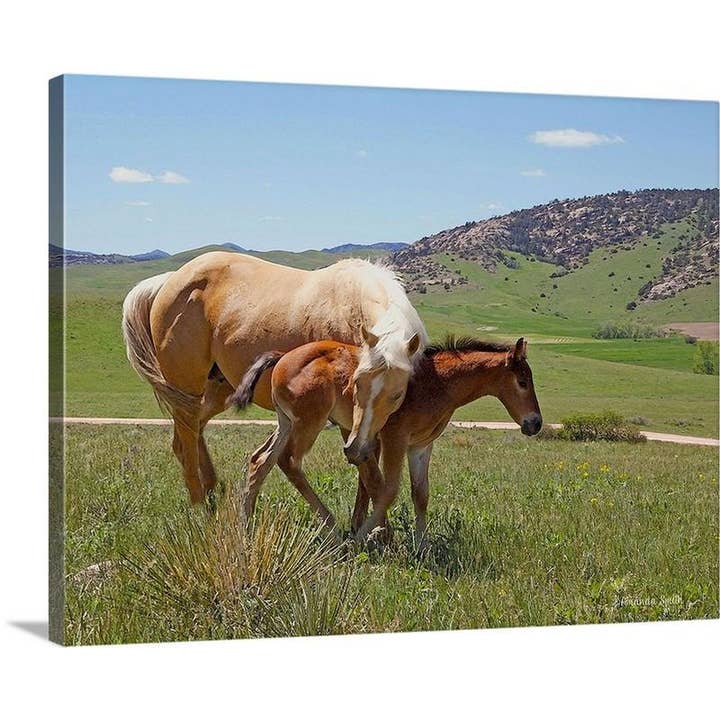 Sweet Comfort Canvas Print for wholesale by Amanda Smith Western Art, LLC