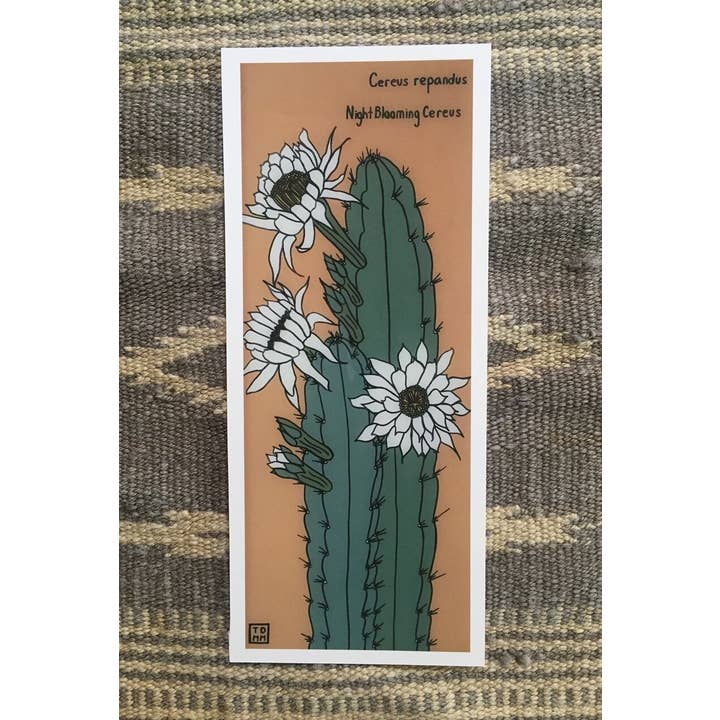 Sonoran Witch Boy - Wholesale Art Print - Night Blooming Cereus