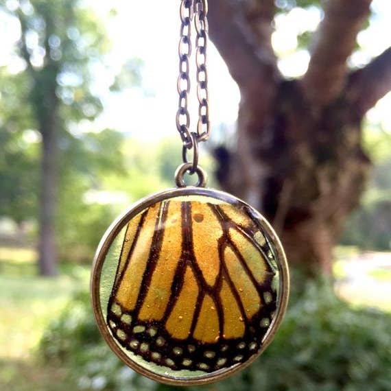 Real Monarch Butterfly Wing Necklace for wholesale by The Pretty Pickle