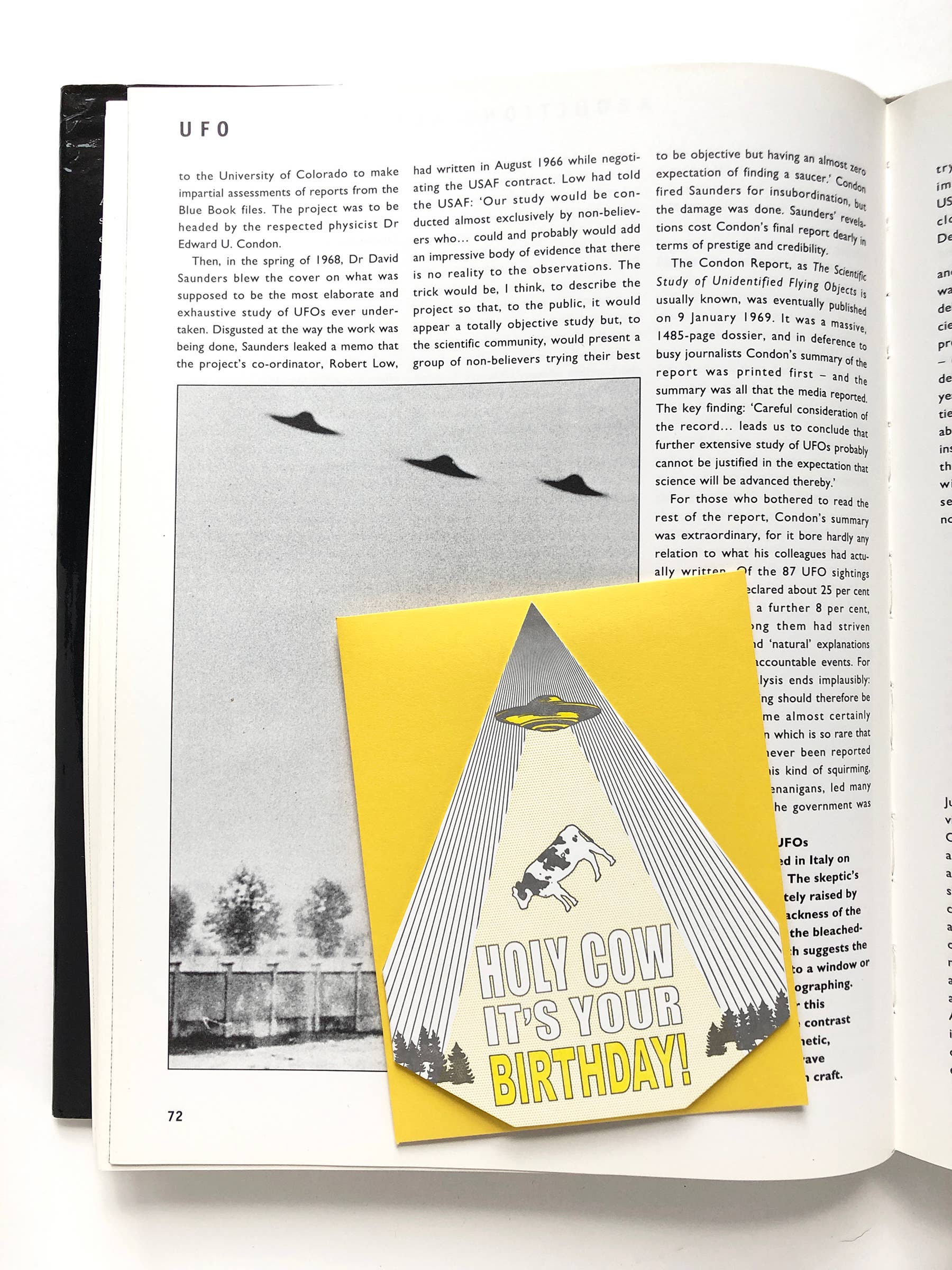 Blackbird Letterpress - Wholesale Birthday Card - holy cow it's your birthday card3