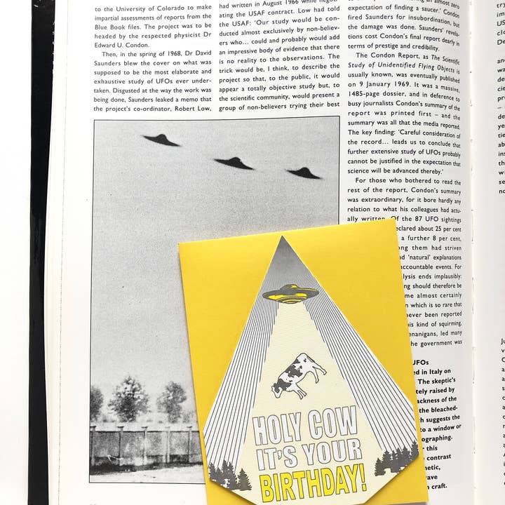 Blackbird Letterpress - Wholesale Birthday Card - holy cow it's your birthday card3