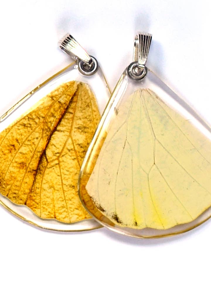 0101 Butterfly Pendant ONLY, Hebomoia Glaucippe, bottom wing for wholesale by Wingstitution