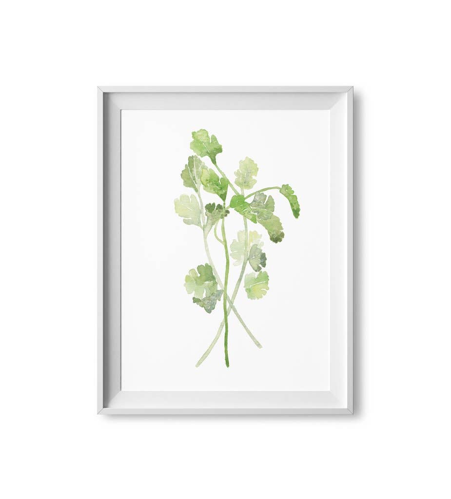 Lilac Paperie - Vendita all'ingrosso Stampa artistica - Stampa ad acquerello con erbe coriandolo 20,3 x 25,4 cm0