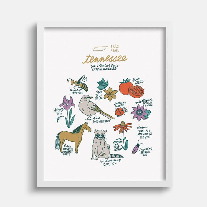 Tennessee State Symbols for wholesale by Joanna Dee