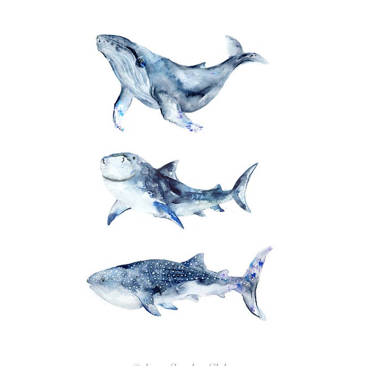Easy Sunday Club - Wholesale Art Print - Whale / Shark / Whale Shark Watercolor Art Print