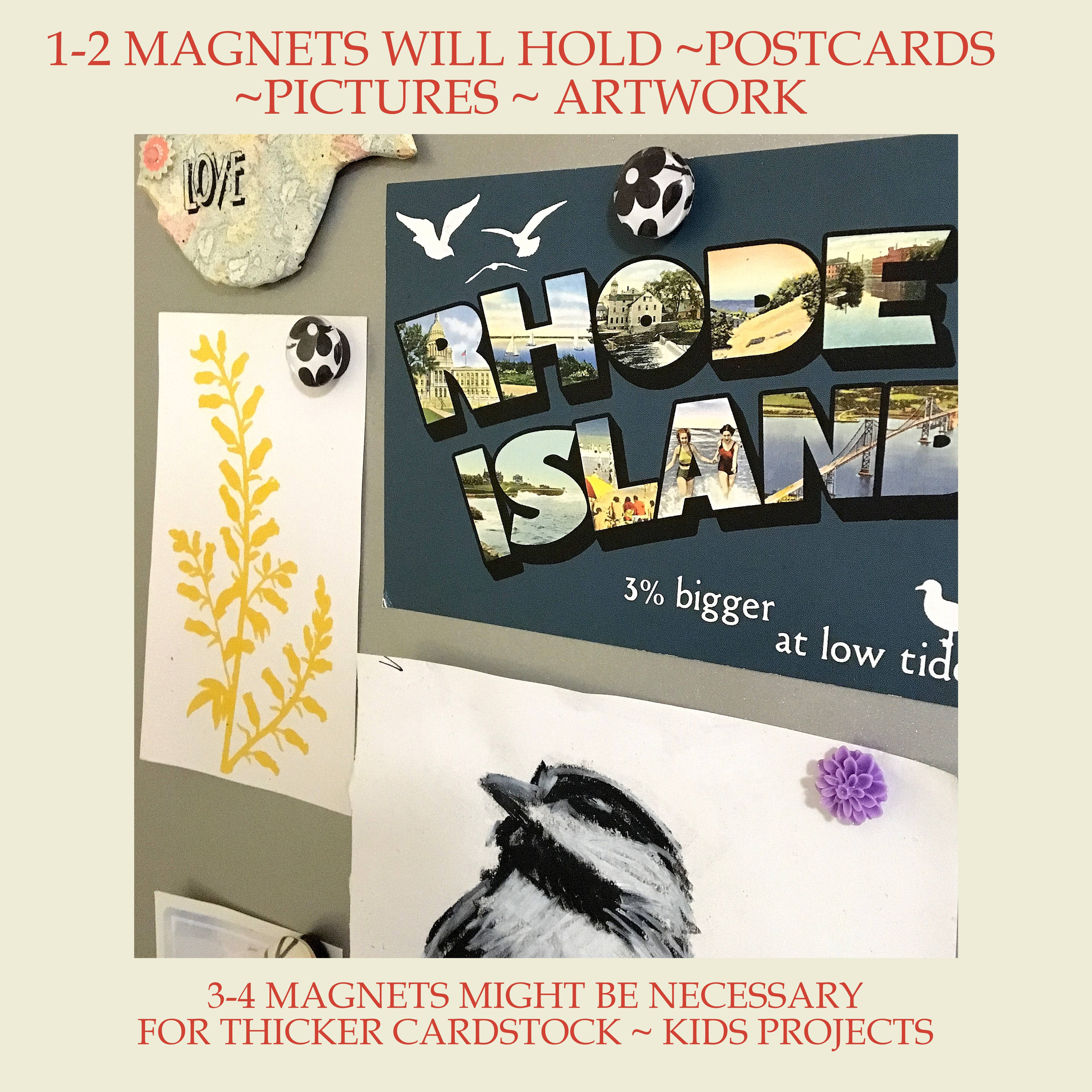 Tanner Glass - Wholesale Magnet - Magnets - Fauna Collection- 1" square, you choose the images6