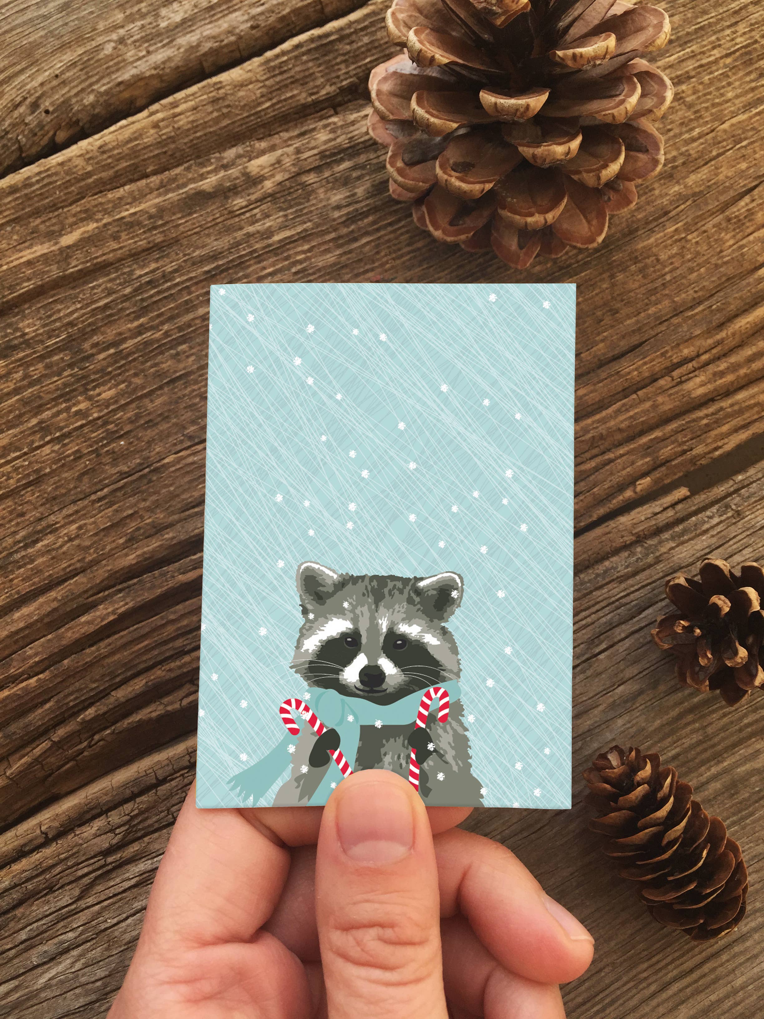 Modern Printed Matter - Wholesale Season's Greetings Card - Raccoon Holiday Enclosure1