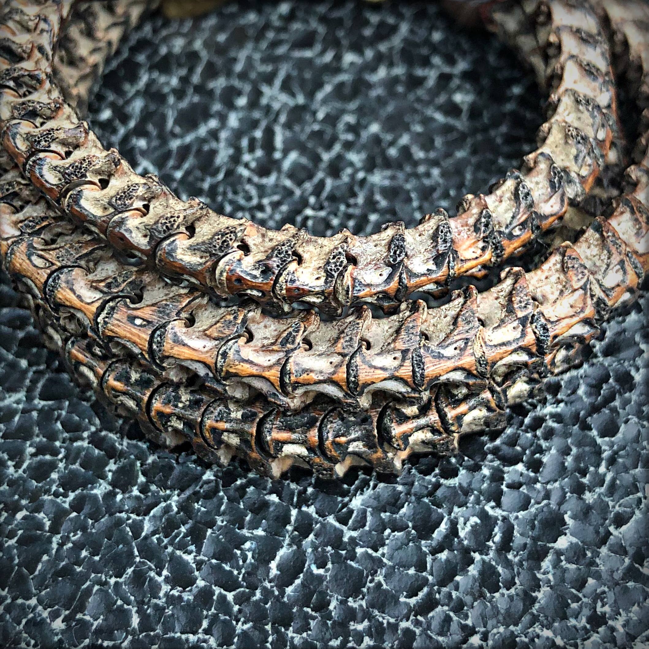 ASTALI - Wholesale Beaded Bracelet - Snake Vertebrae Bracelet, Real Vintage African Snake Bones11