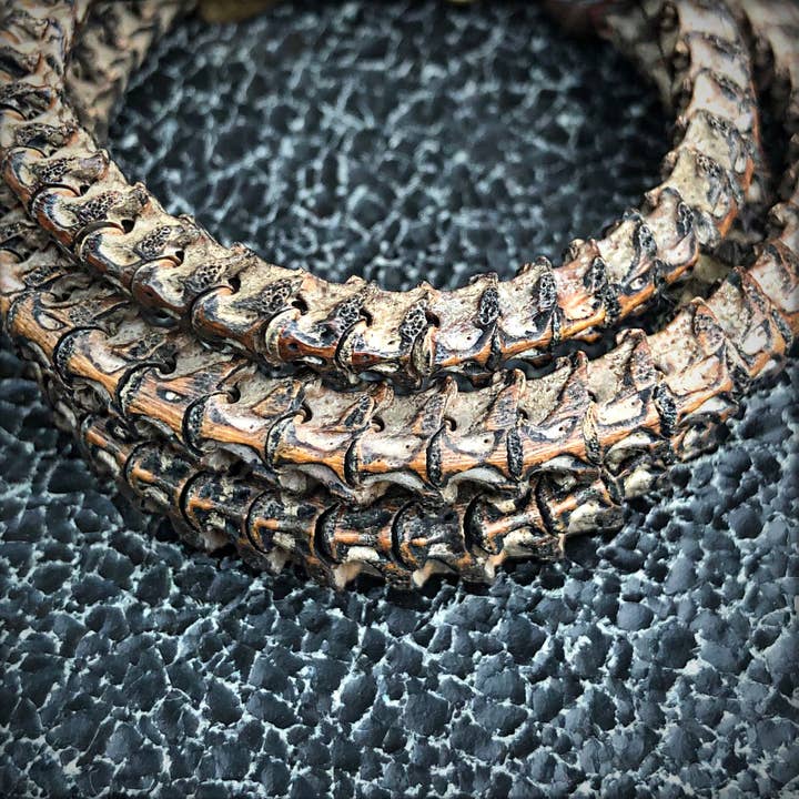 ASTALI - Wholesale Woven/Braided Bracelet - Snake Vertebrae Triple Wrap Bracelet, African Snake Bones2