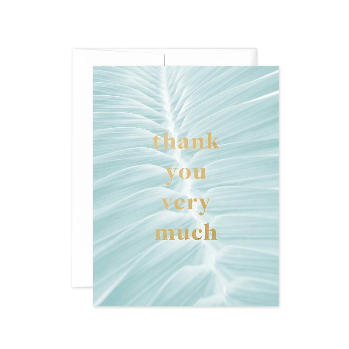 REMOVED BRAND - Wholesale Thank You Card - Palms Thank You0