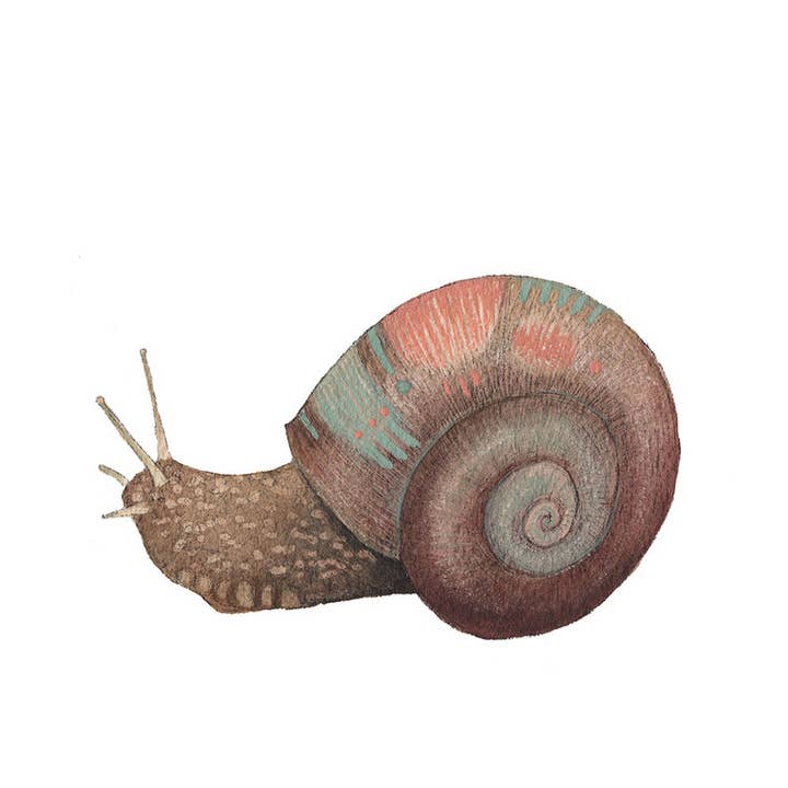 Polanshek of the Hills - Wholesale Art Print - The Snail Print - Collector