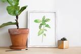 Lilac Paperie - Wholesale Art Print - 8” x 10” Mint Herb Watercolor Print1