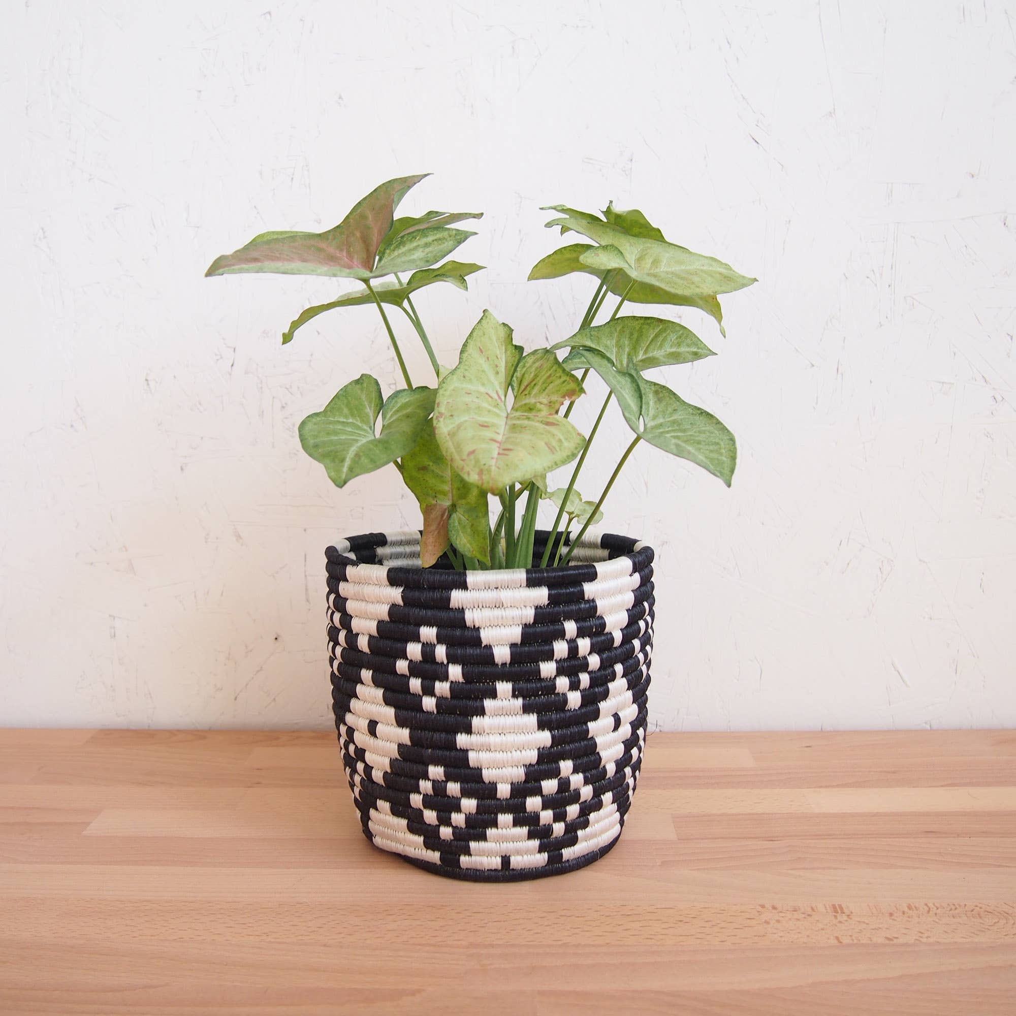 Amsha - Wholesale Plant Pot - Storage Plant Basket: Ndora (Set of 3)1