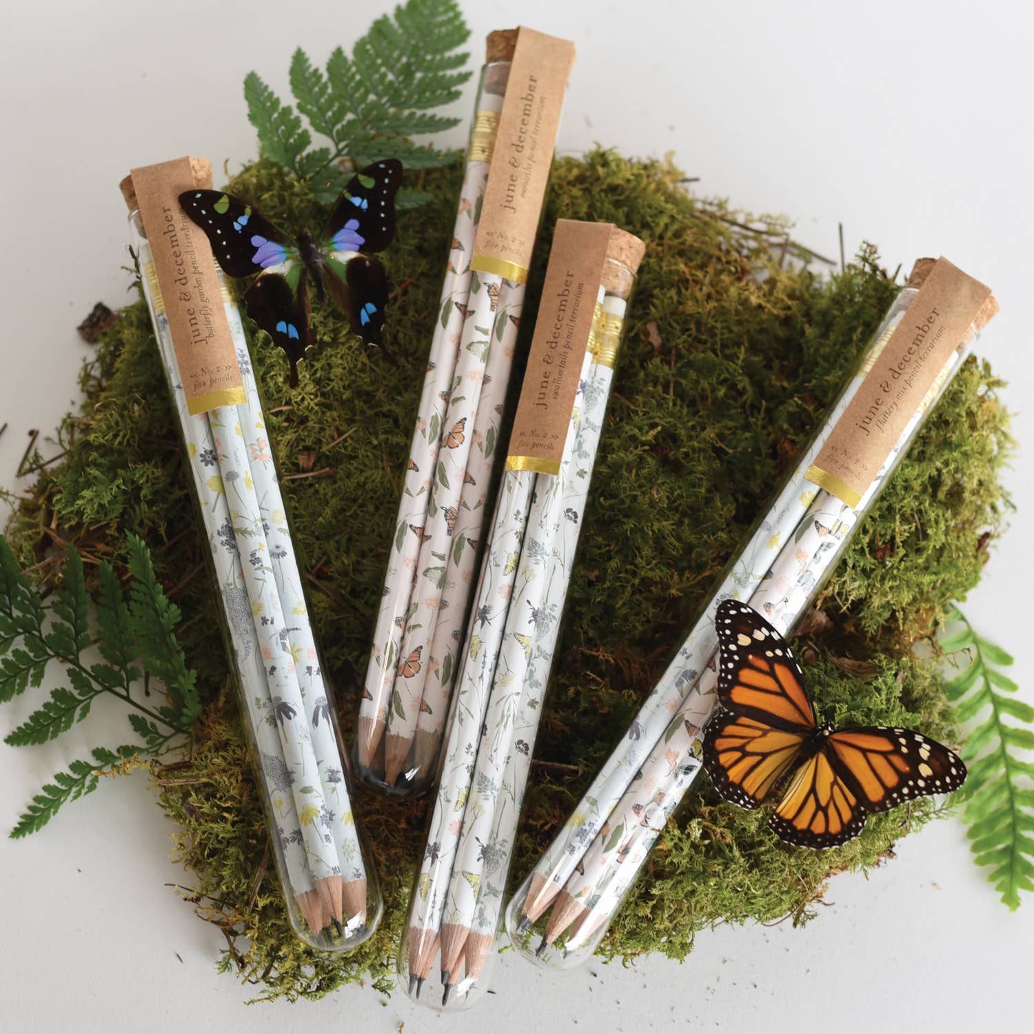 June & December - Wholesale Pencil - Monarchs Pencil Terrarium, Set of 5 Pencils2