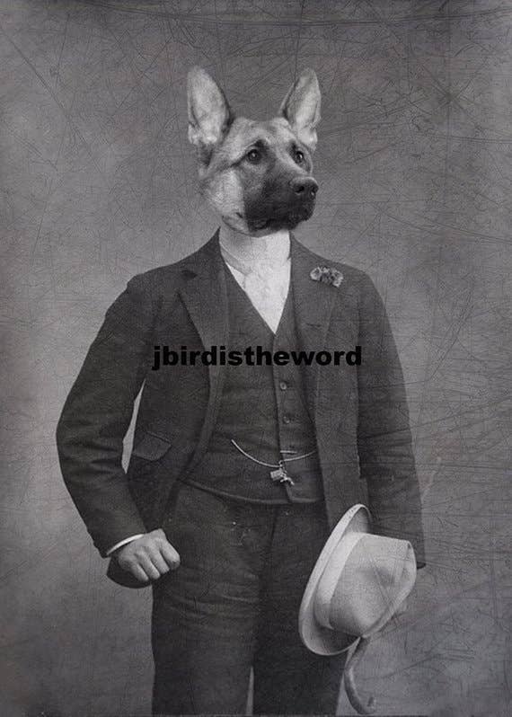 The Wild Oddisorium - Vente Affiche d'art - Imprimé chien de berger allemand0