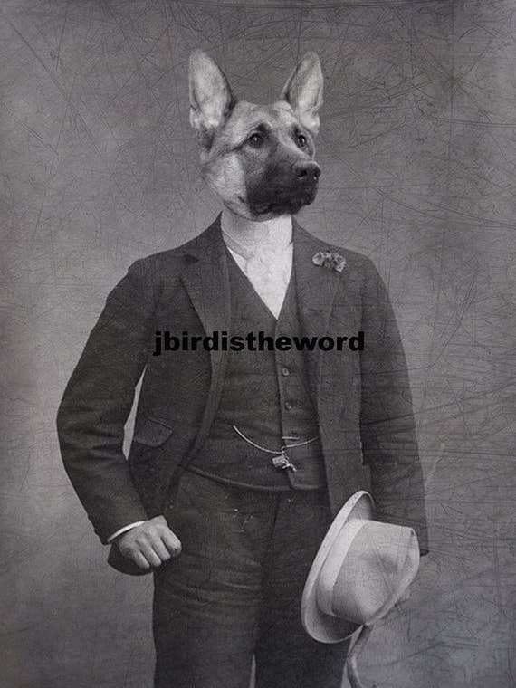 German Shepherd Dog Print for wholesale by The Wild Oddisorium