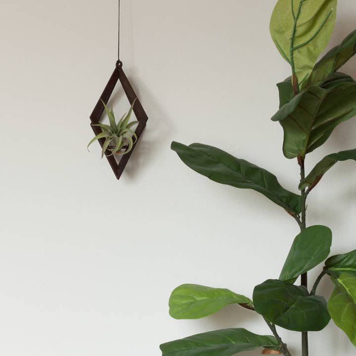 Savvie Studio - Wholesale Hanging Planter - Air Plant Hanger Diamond Walnut