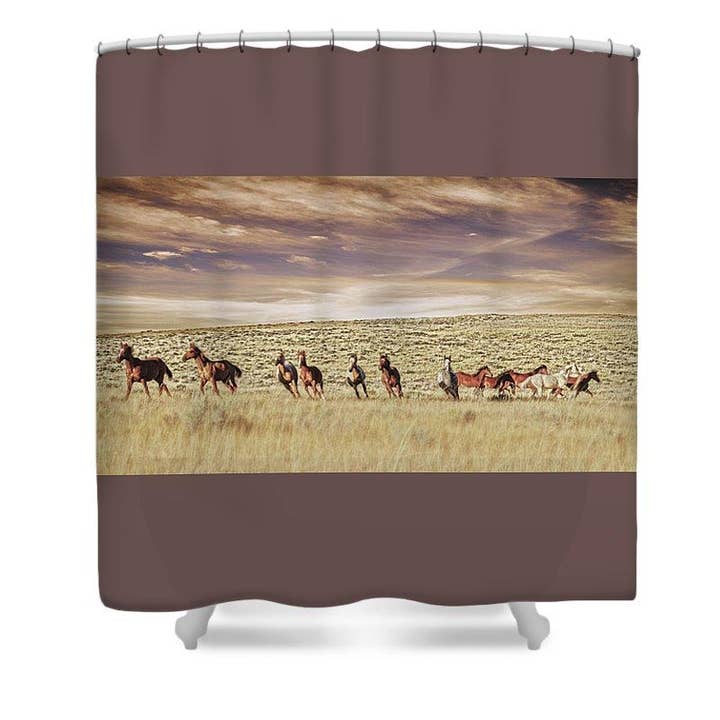 Cortina de chuveiro de decisão dividida por atacado de Amanda Smith Western Art, LLC