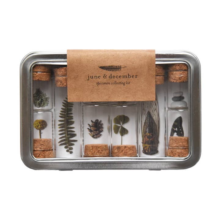 Kit para coleccionar especímenes para venta al por mayor de June & December