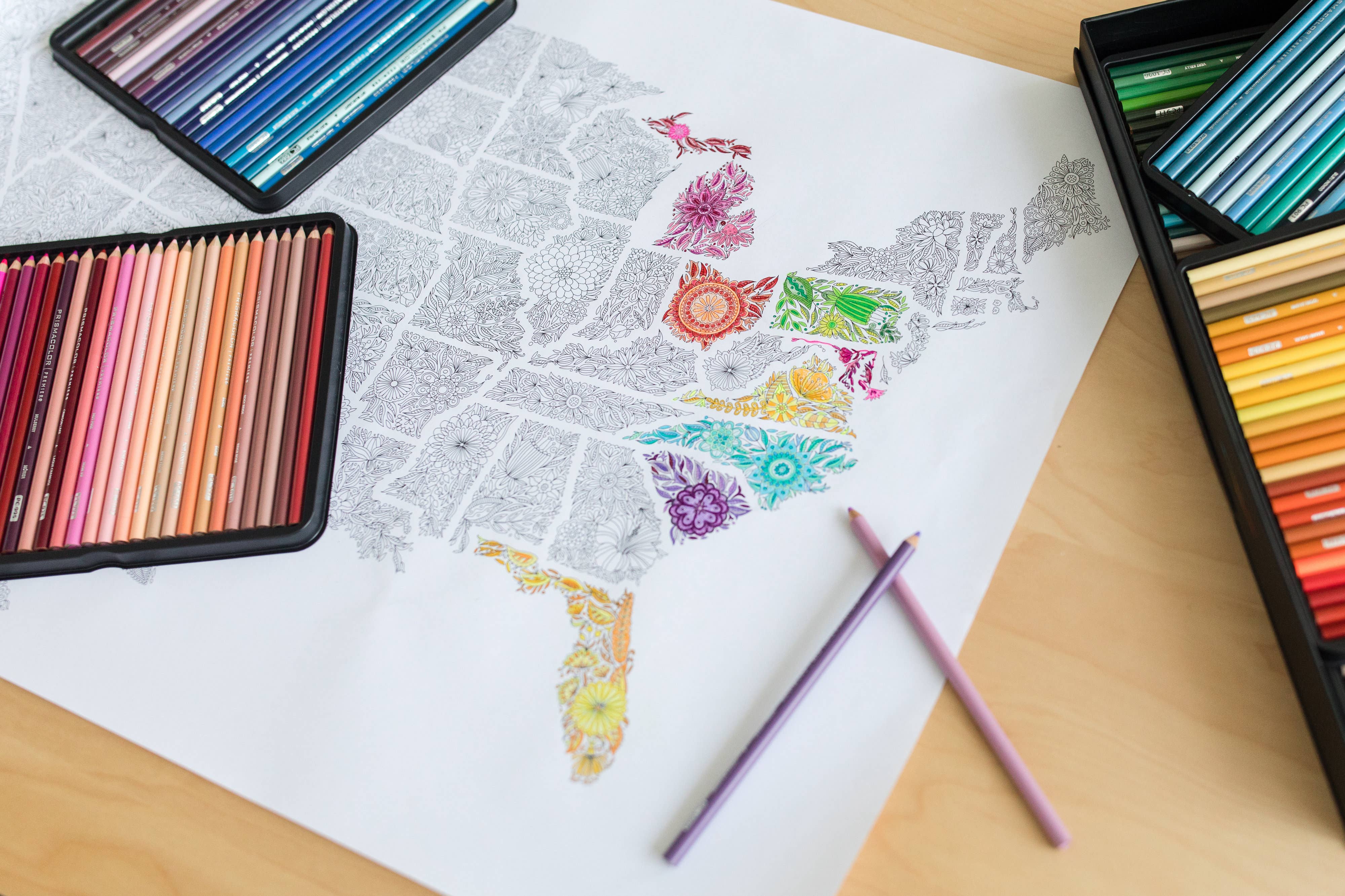 Anna Grunduls Design - Venta al por mayor Libro para colorear - Adultos - Flores Estados Unidos Mapa para colorear19