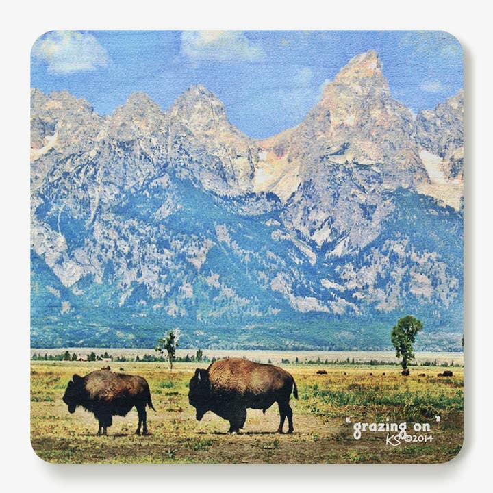 Grazing On Coaster for wholesale by Simply Grateful