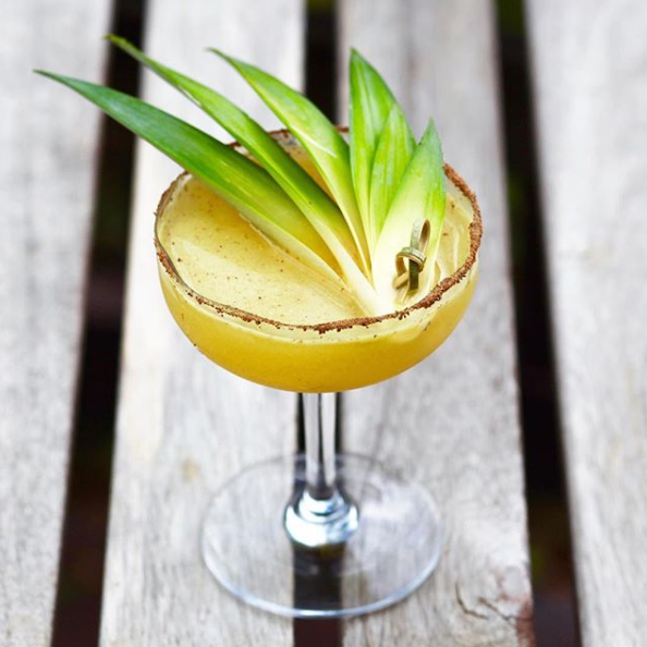 Element Shrub - Wholesale Non-Alcoholic Aperitif/Mocktail - Pineapple Turmeric Shrub 237ml1