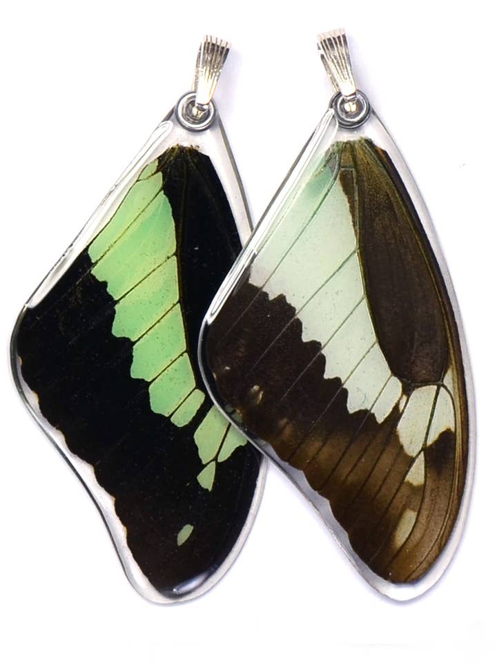 0275 Pendant ONLY, Apple Green Swallowtail, top wing for wholesale by Wingstitution