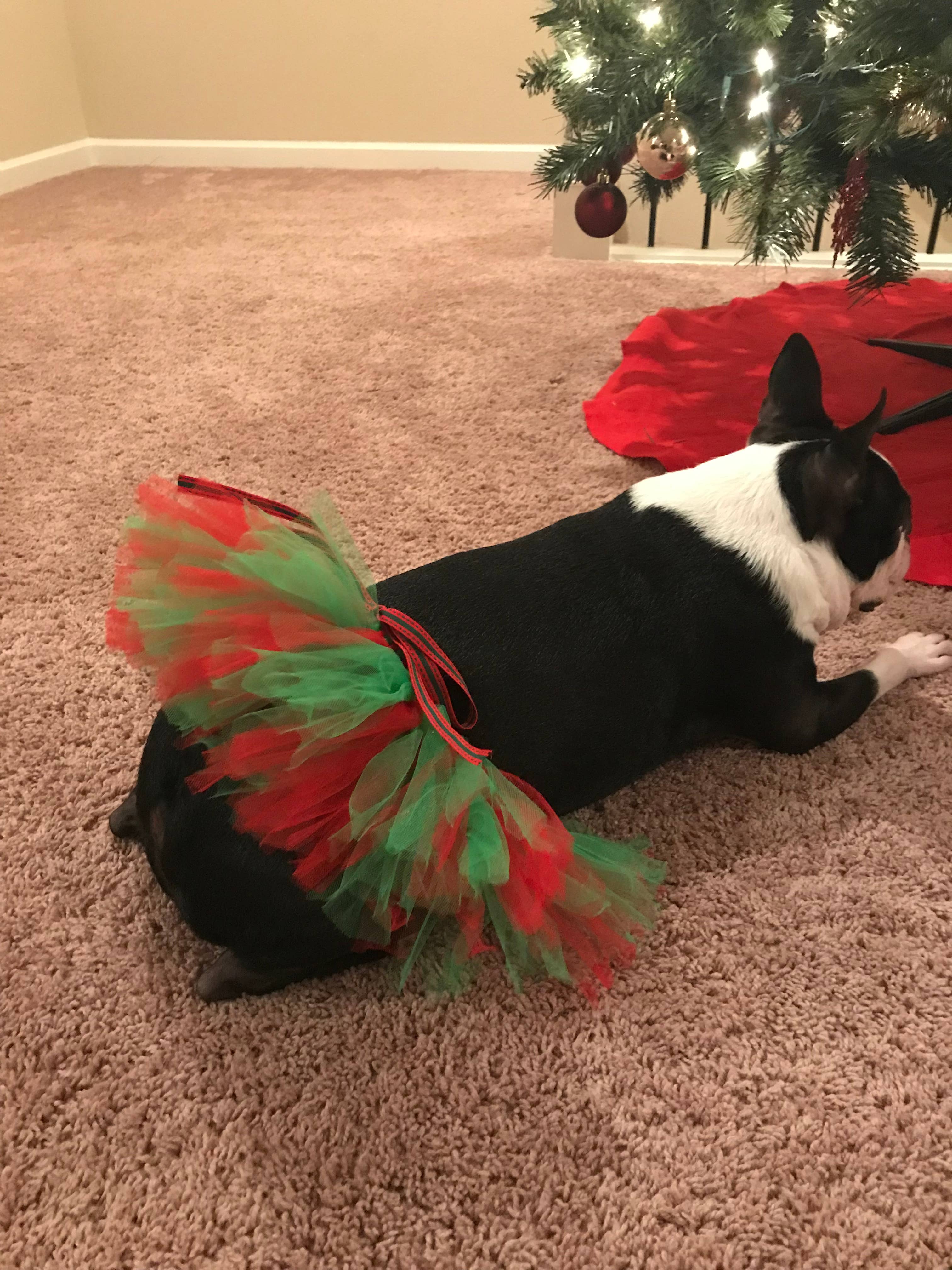 Tutu Joli LLC - Wholesale Pet Costume - Dog - Christmas Dog Tutu Skirt | Dog Christmas Outfit | Dog Dress3