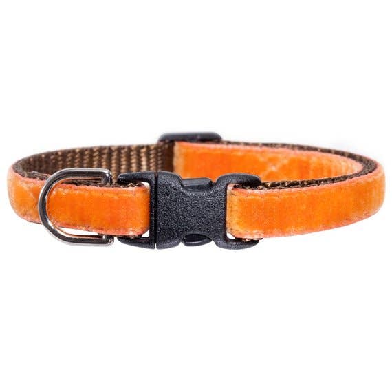 Sweet Pickles Designs – wholesale Pet collar – Cat – The Austin Pickles - Cat Collar