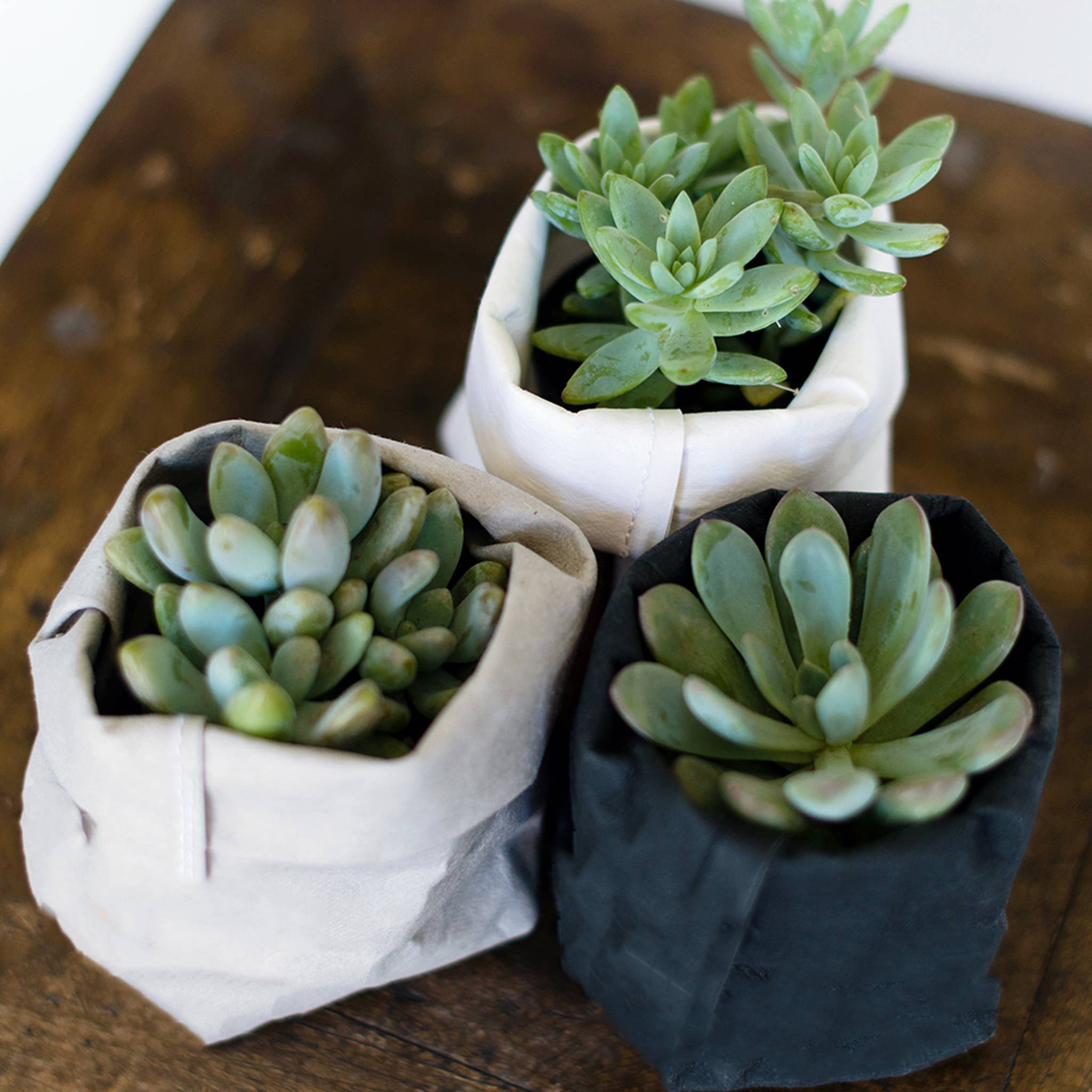 Urbana Sacs - Wholesale Food Storage Wrap/Bag - Creative Sacs X-Small0